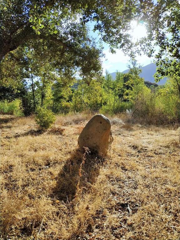 Surrounding environment