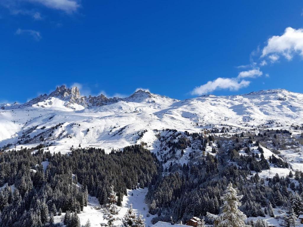 Méribel Mottaret - Appartement 3 chambres, 6 pers, parking, terrasse, skis aux pieds - FR-1-613-105 - 5