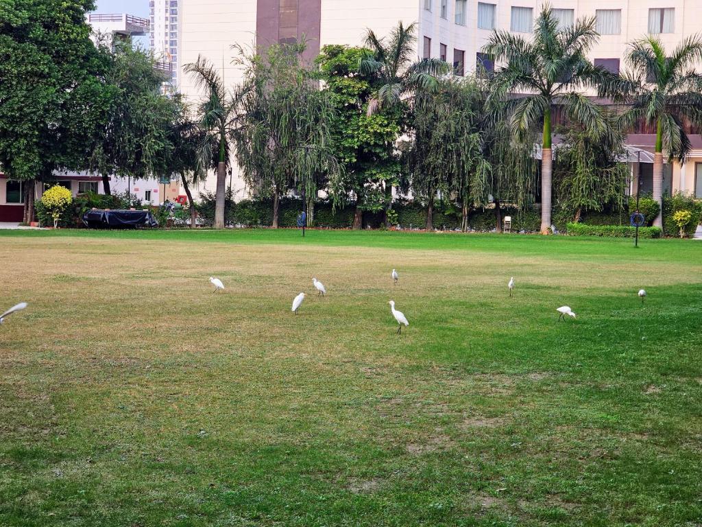 Surrounding environment