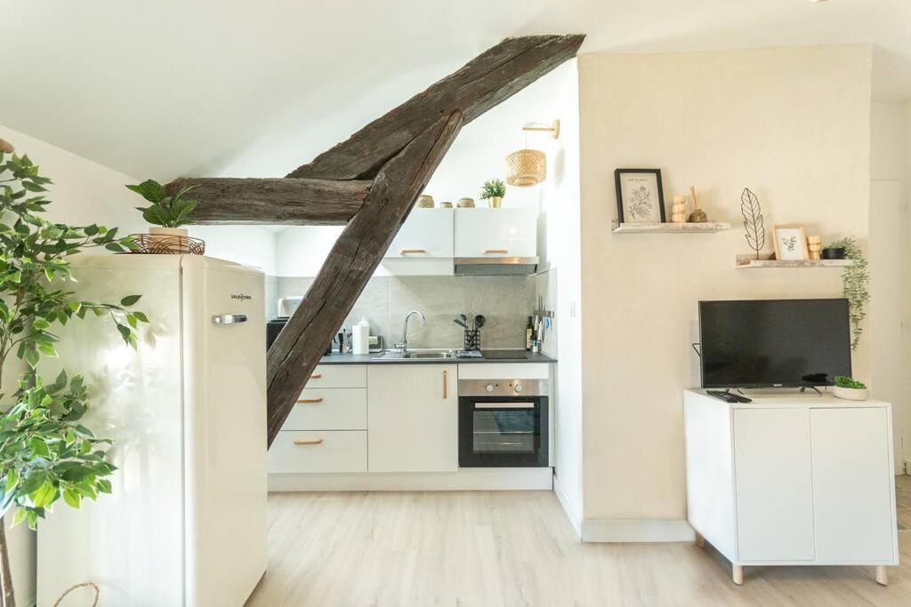 Immeuble L'Aristocrate - Le Boho- Bd Carnot - 2