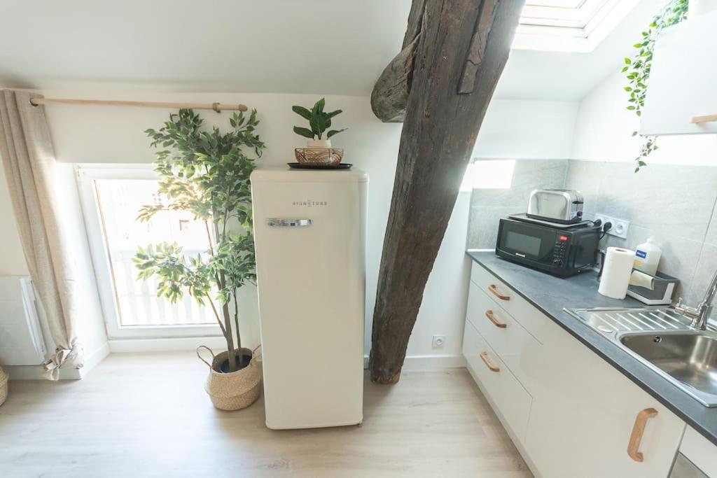 Immeuble L'Aristocrate - Le Boho- Bd Carnot - 3