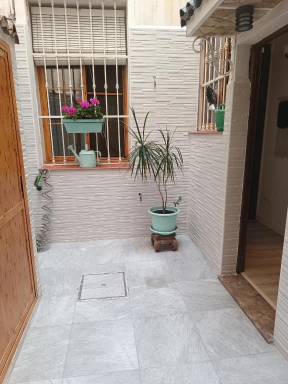 Apartamento Centro Histórico - 5