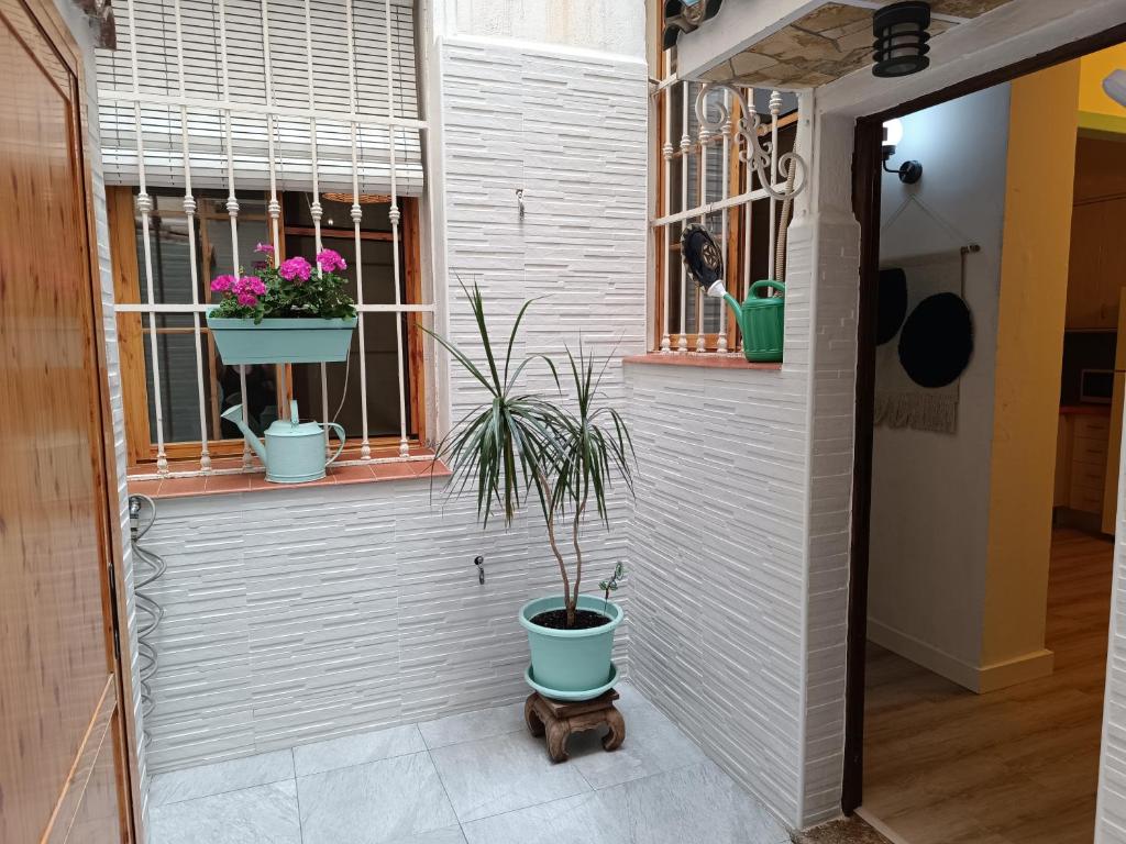 Apartamento Centro Histórico - 4