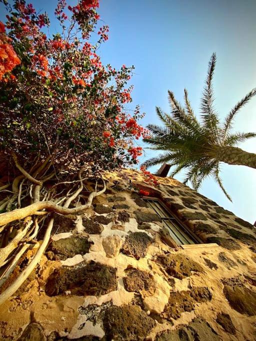 Erbania Heritage, naturally - 3