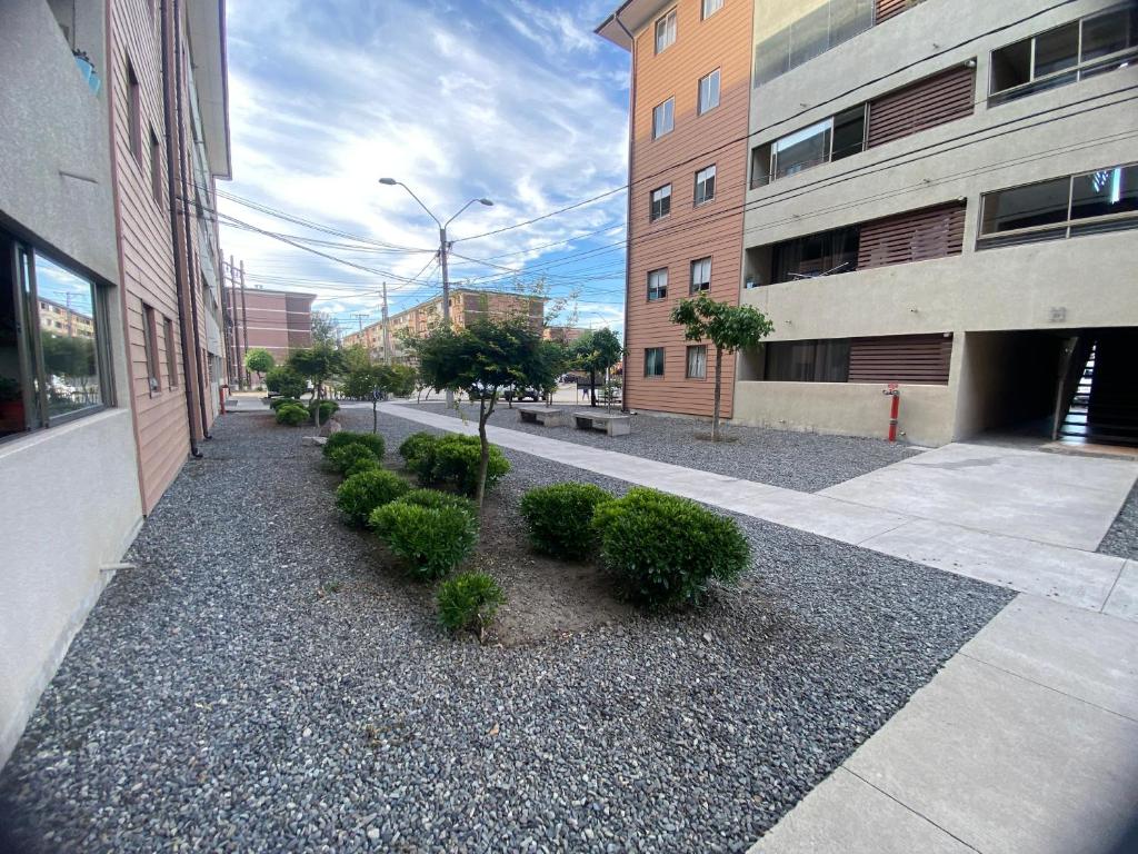 Apartamento centrico - 5