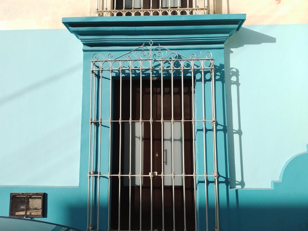 Lulu'u Índigo (pequeño Índigo) - 1