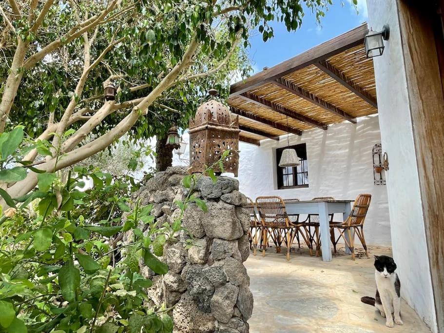 Casa Chris y Marie, Villa with heated mini pool, Lajares