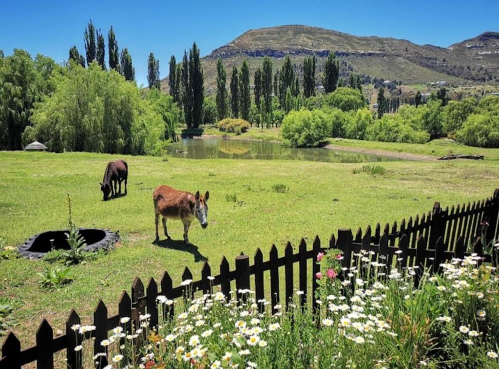 The Viewing Deck Accommodation, Clarens