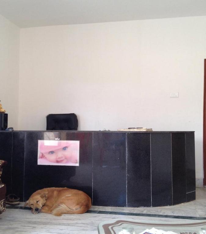 ローマ ゲスト ハウス (Rama Guest House) フロント・ロビー