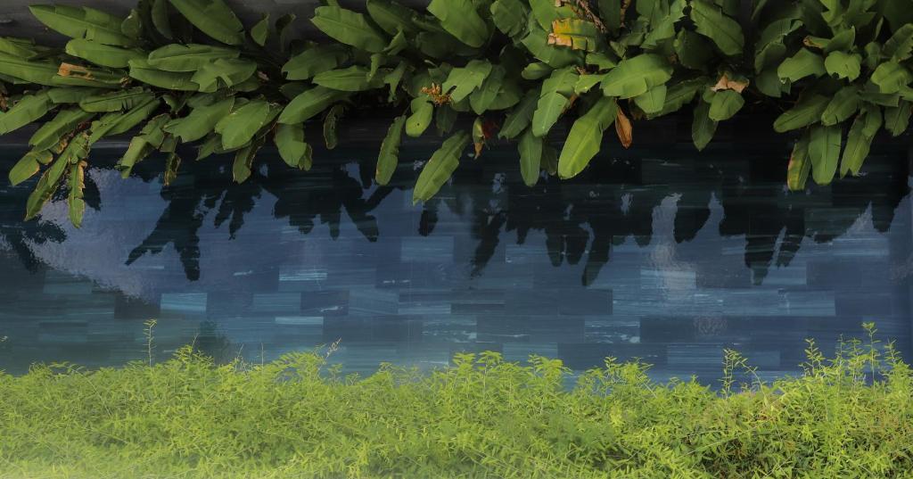 Surrounding environment