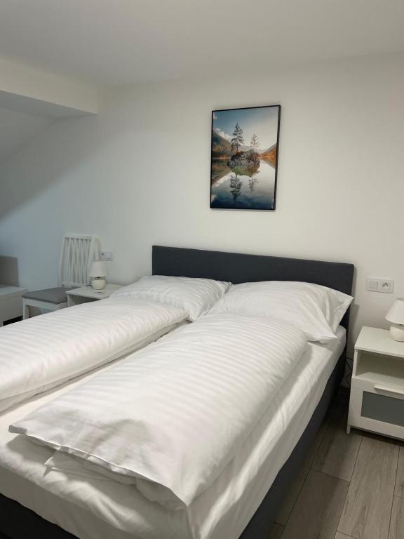 Apartman, Cheb