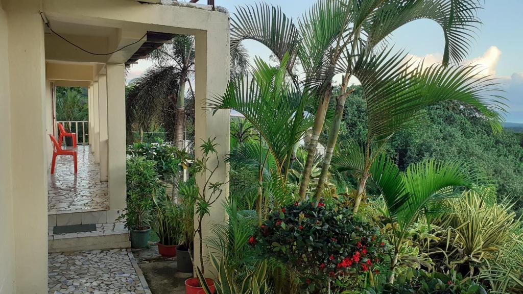 Exterior view, Dave Parker Eco Lodge Hotel in Apia