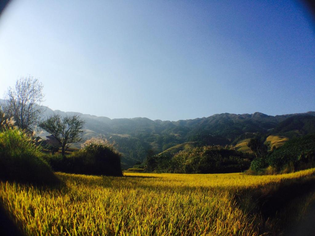 Surrounding environment