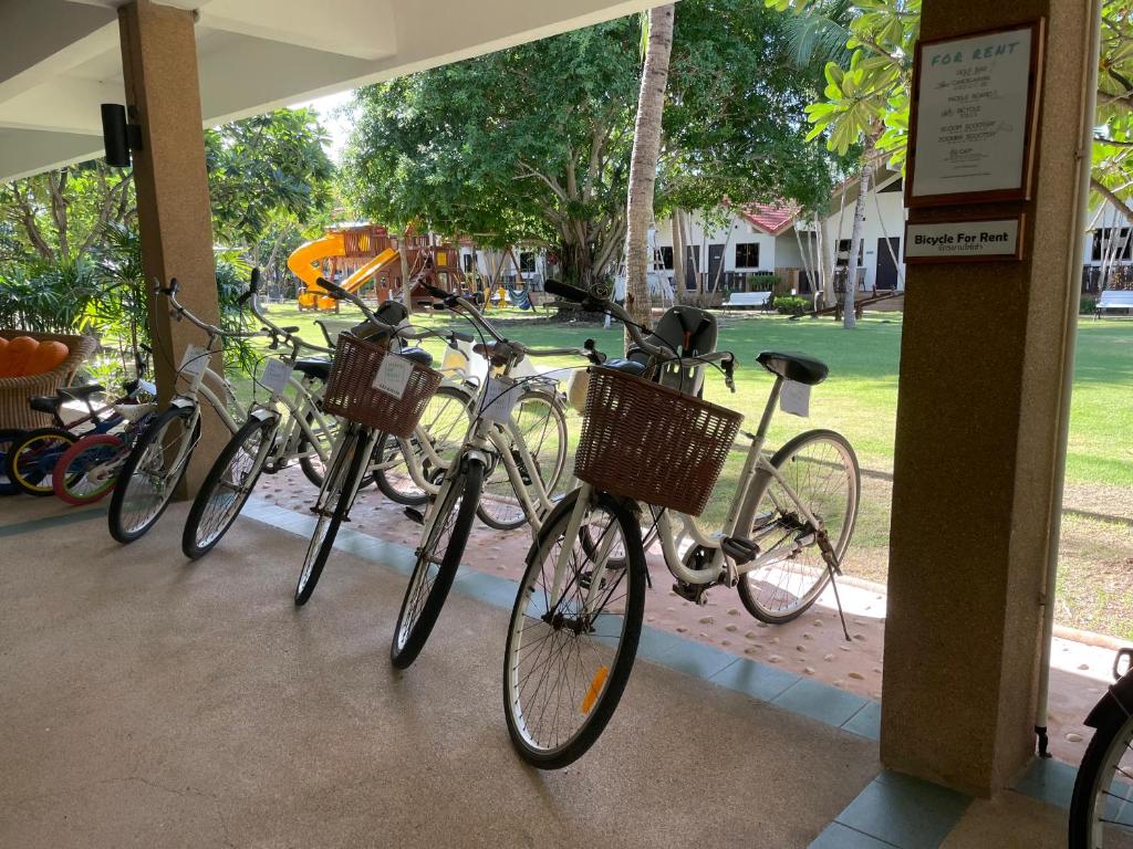 رياضة و نشاطات