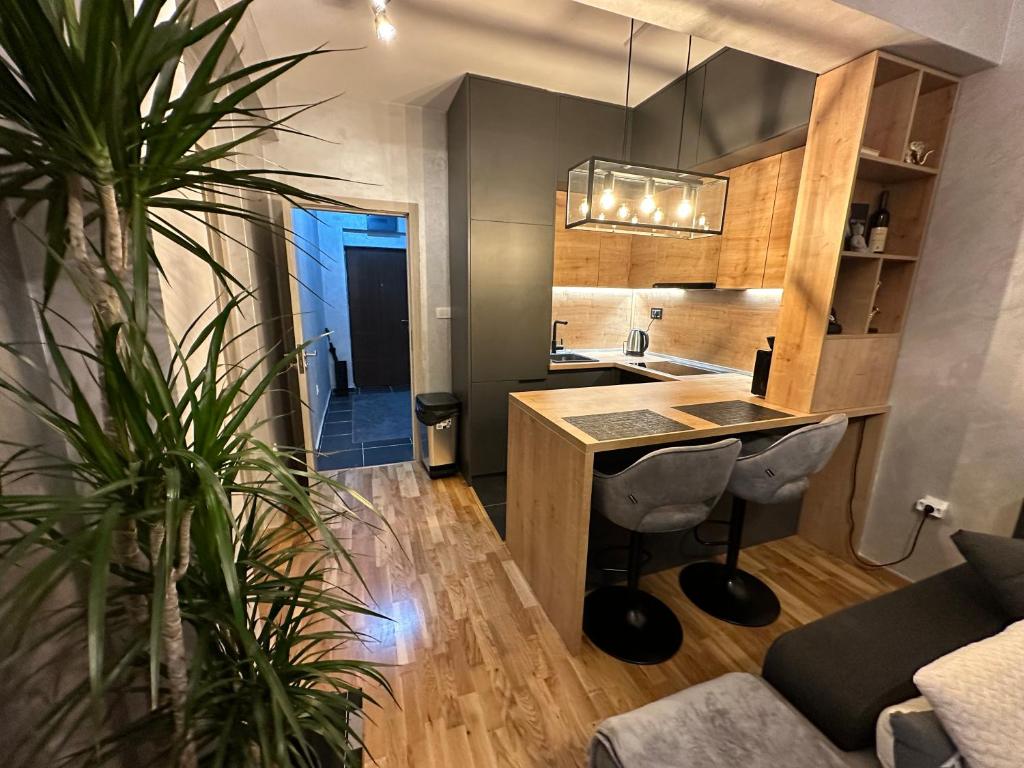 Arbo LUX Apartment - 1