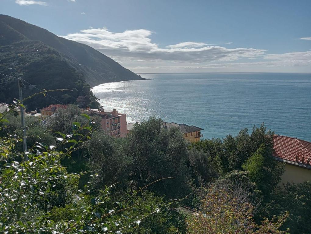Giardino sul Mare - 4