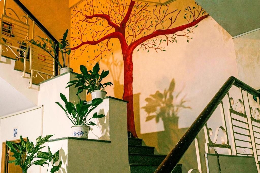 Bui Hostel Kien Giang