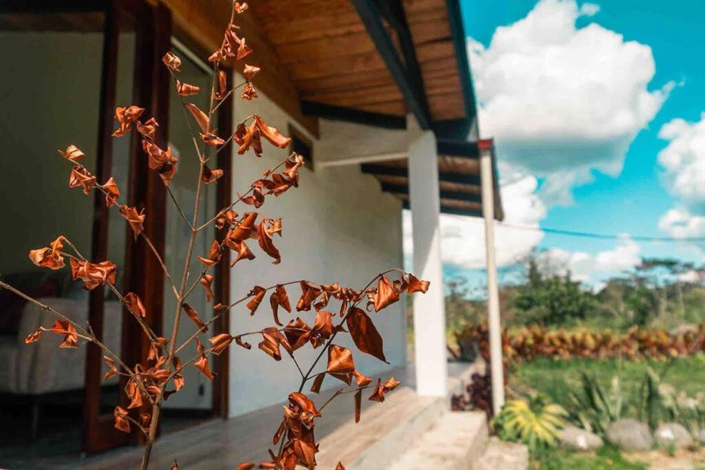 Riverside Cabin in Cumandá, near Baños, Ecuador - 3