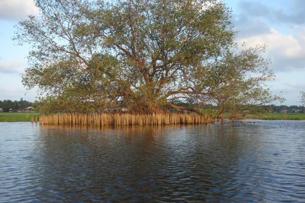 Surrounding environment