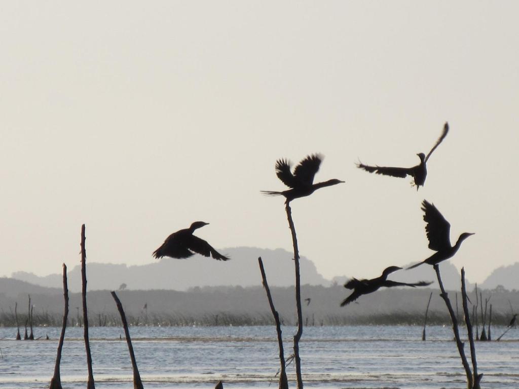 Surrounding environment