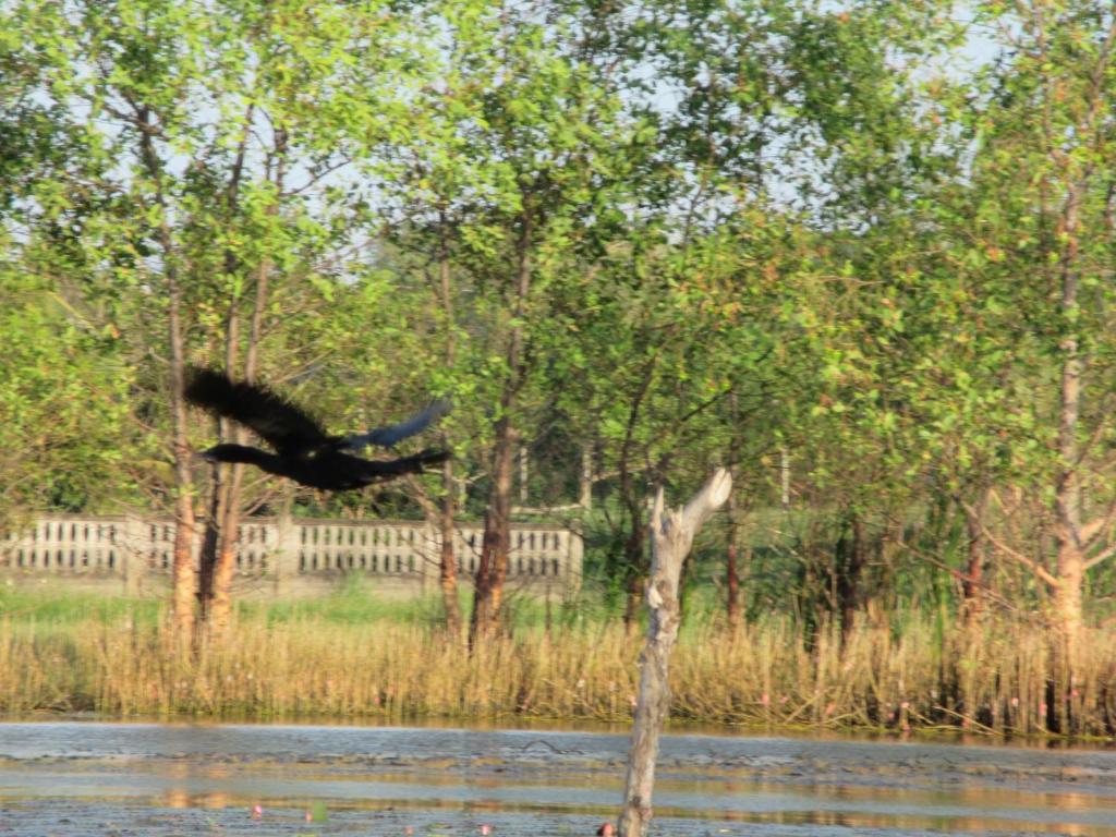 Surrounding environment
