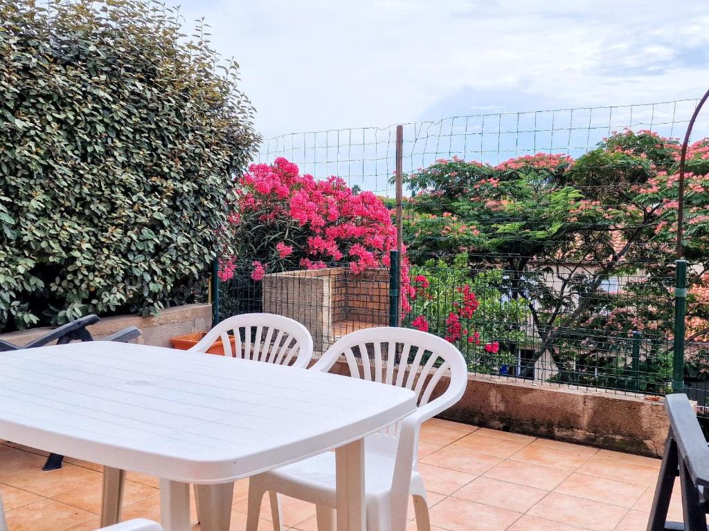 Studio cabine avec terrasse et parking à Banyuls-sur-Mer - FR-1-309-277 - 4