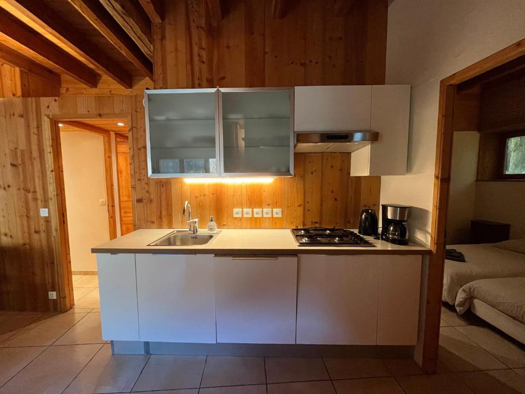 Apartment Les Rousses 3 minutes from Alpe dHuez Grand Domaine via Oz en Oisans - 4