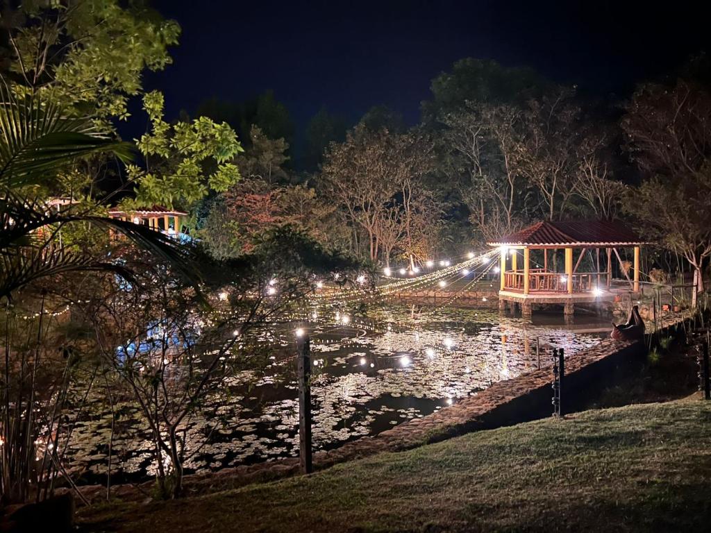 Surrounding environment