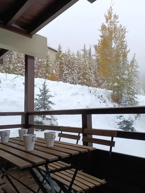 les chalets de puy st vincent，位于皮伊圣万桑的酒店