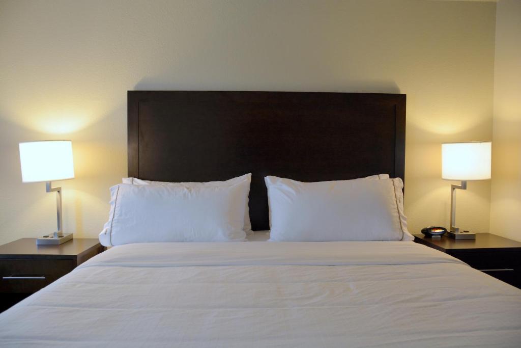 Holiday Inn Express Tomball photo