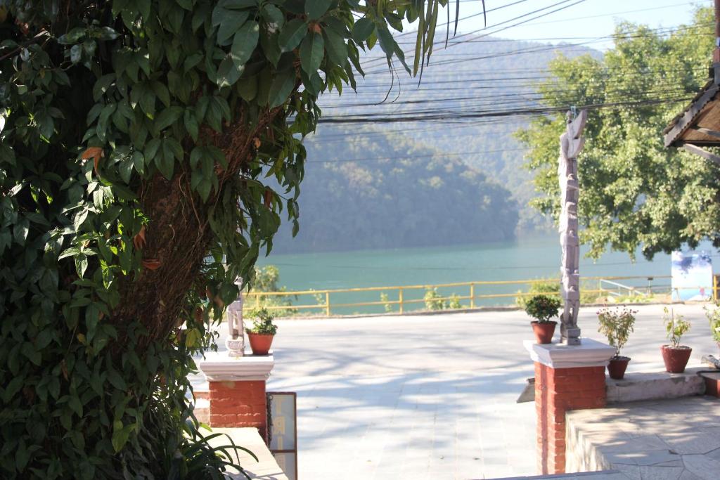 View