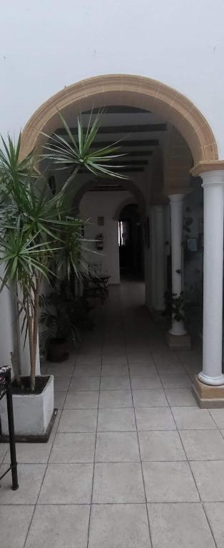 Hostal Fenix - 5
