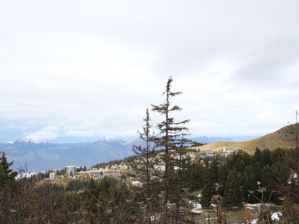 Studio cabine 24m² au pied des pistes, balcon, animaux non admis - FR-1-340-274 - 5