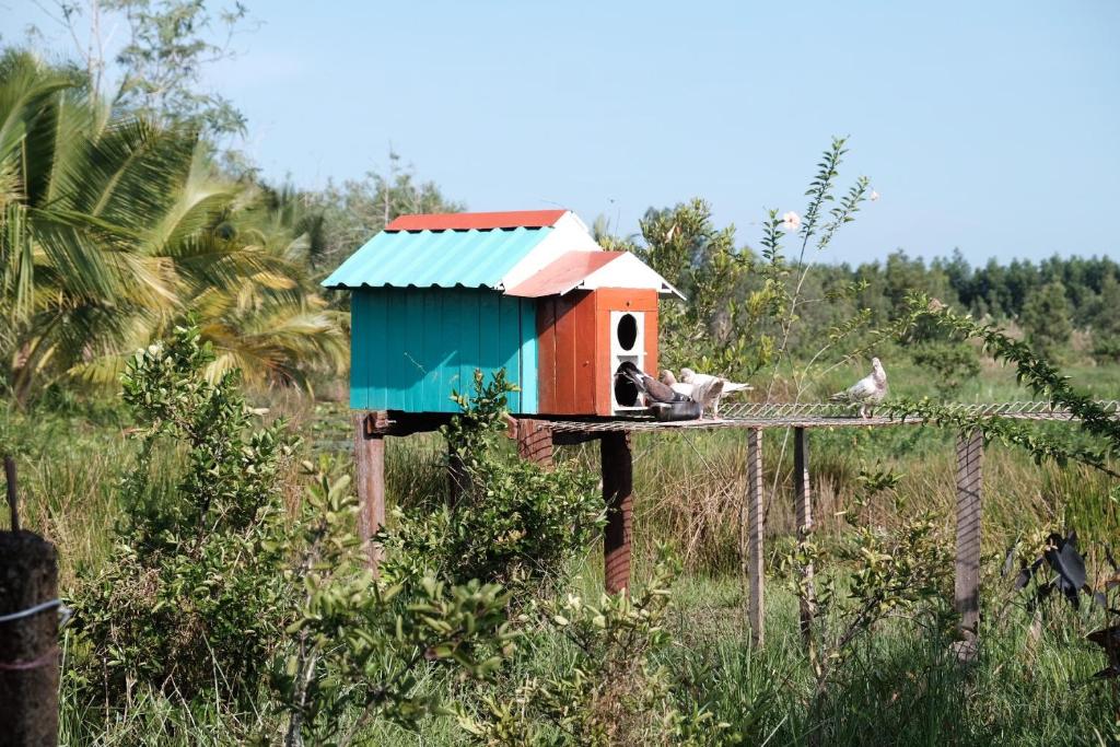 Bungalow - Farmstay Hoa Rung U Minh
