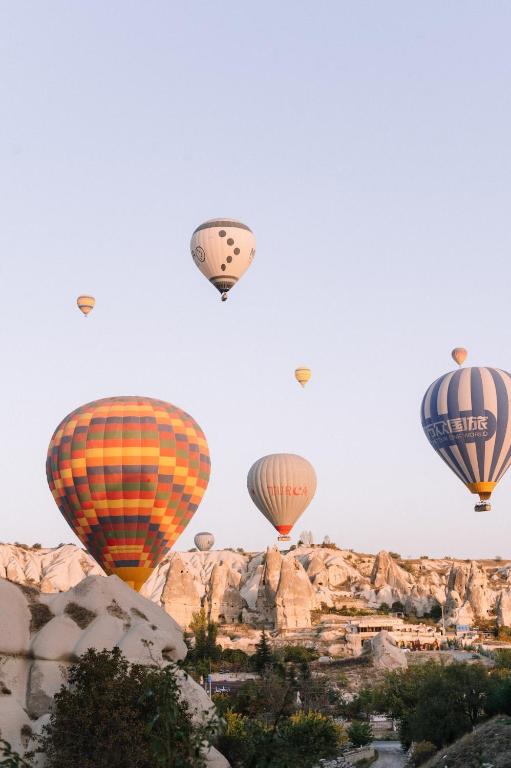 アクティビティ