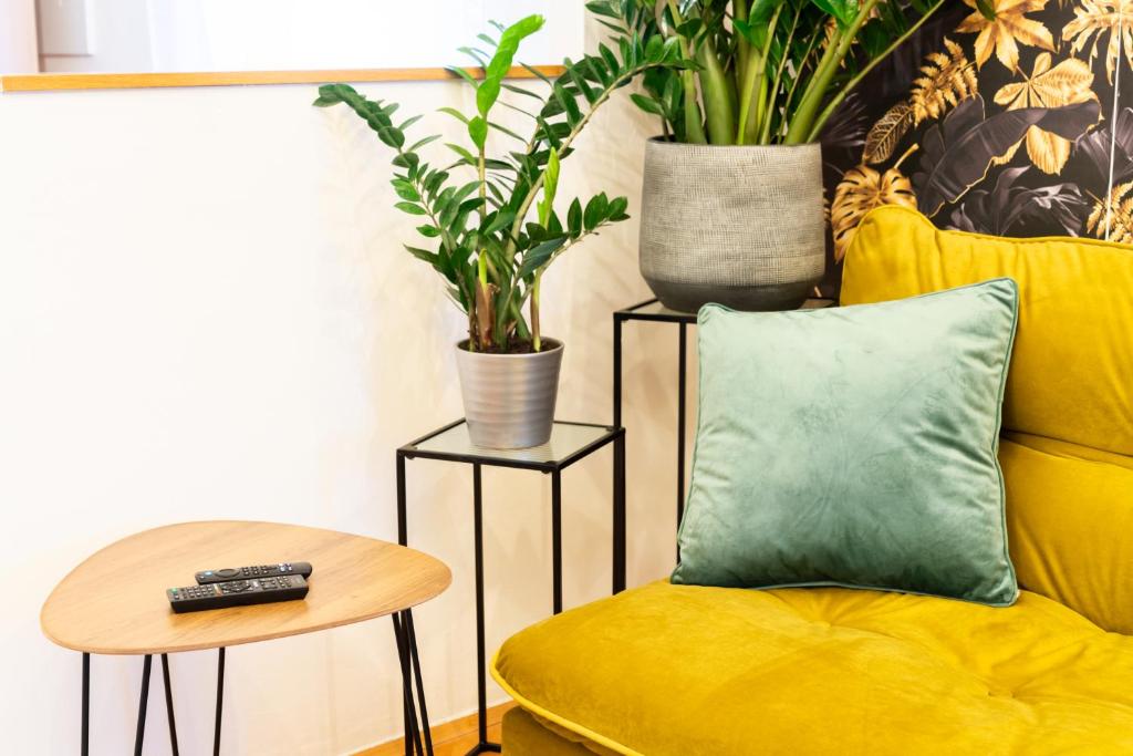 Modernes Appartement - 5