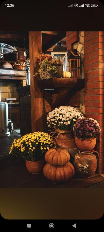 Вила Тодора Villa Todora, Vratsa