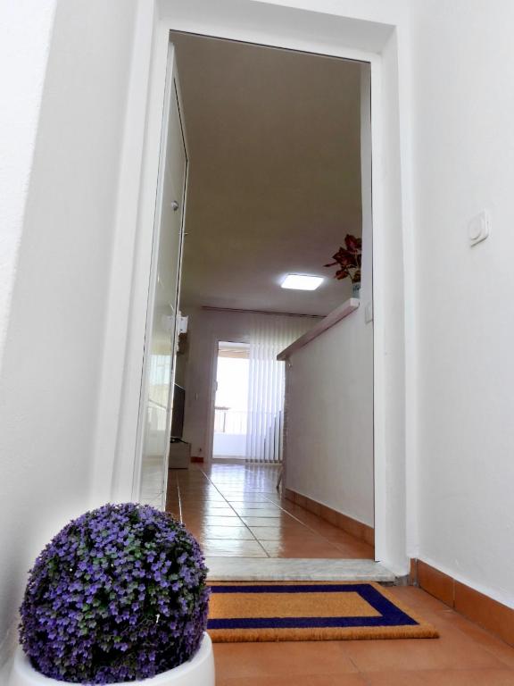 Casa Mirasol - 5