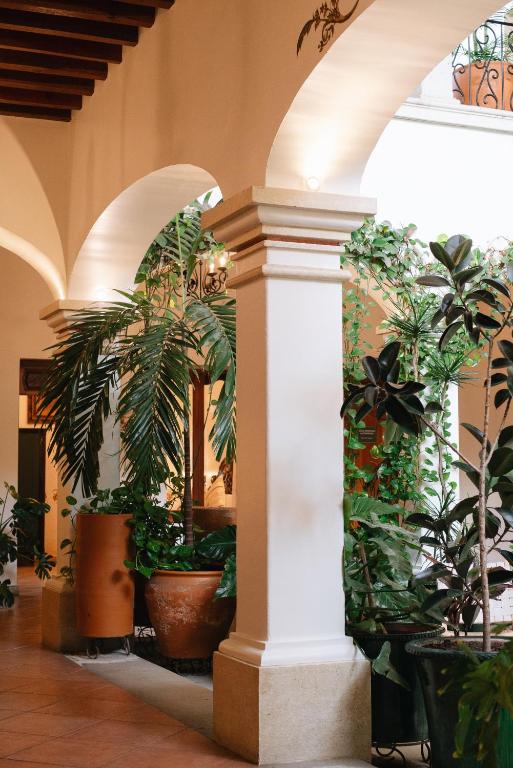 Facilities, Los Pilares Hotel in Oaxaca