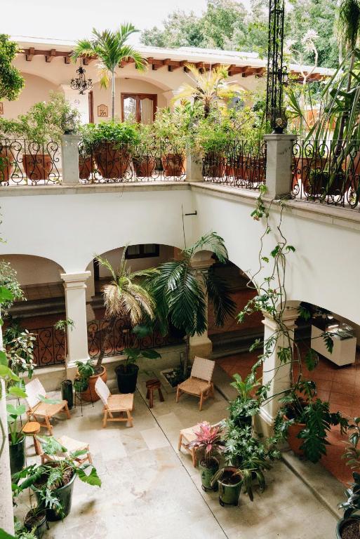 View, Los Pilares Hotel in Oaxaca