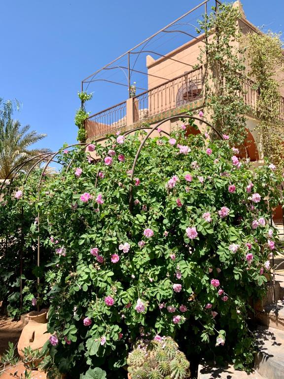 2. RIAD CHA..