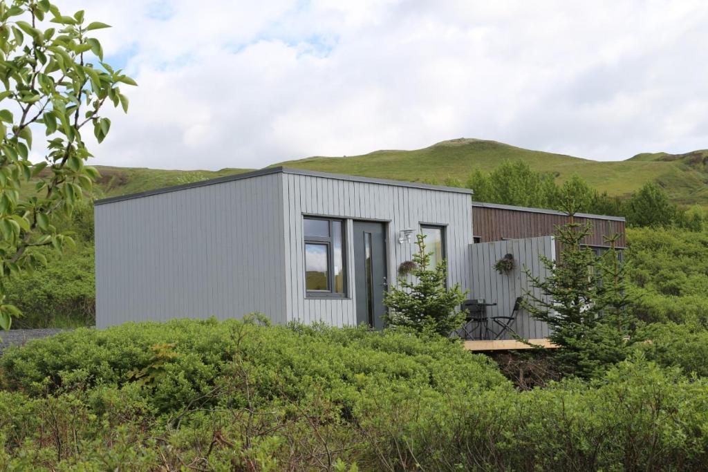 Giljagisting, Grafarkirkja