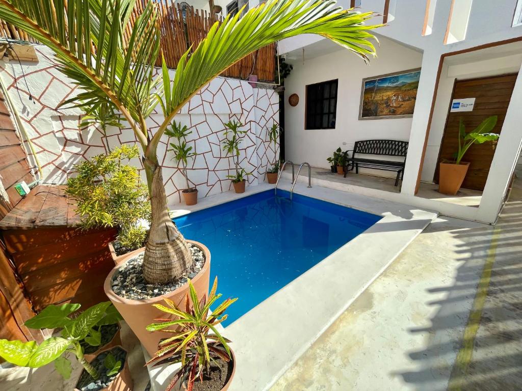 Hotel AKBAL Holbox - 1