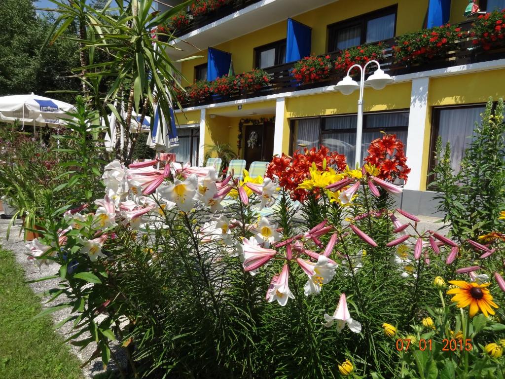 Pension Brönimann - 4