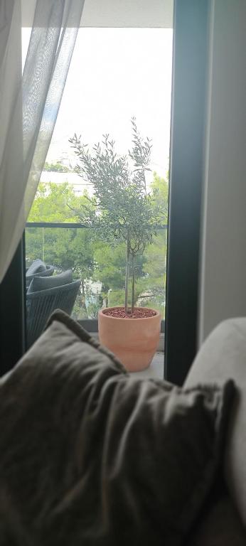 Avisi Living - 5