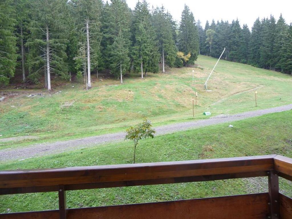 2 pièces aux Adrets, au pied des pistes, animaux admis - 3