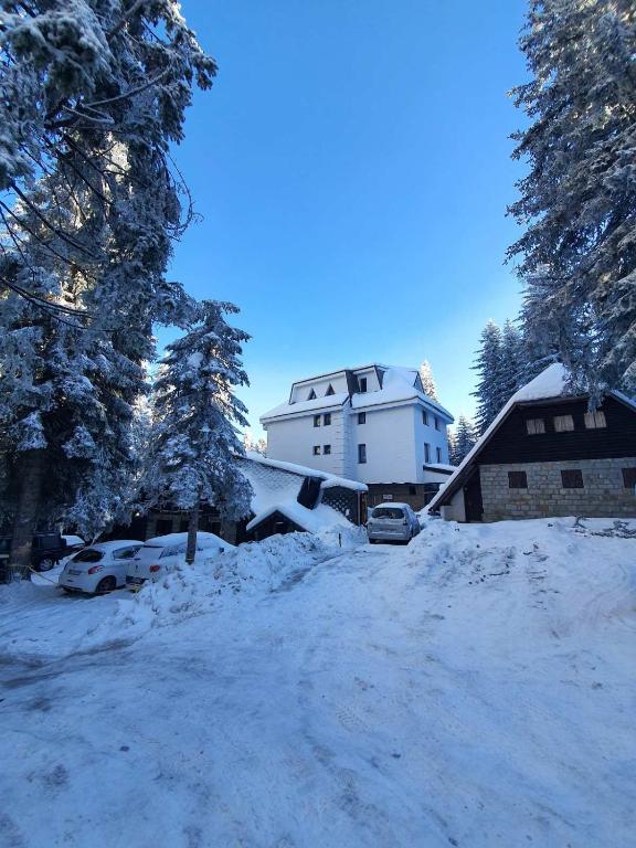 MASSIV Kopaonik centar lux apartmani - 1
