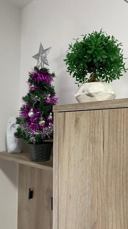 Apartman Anastasija Divcibare - 5