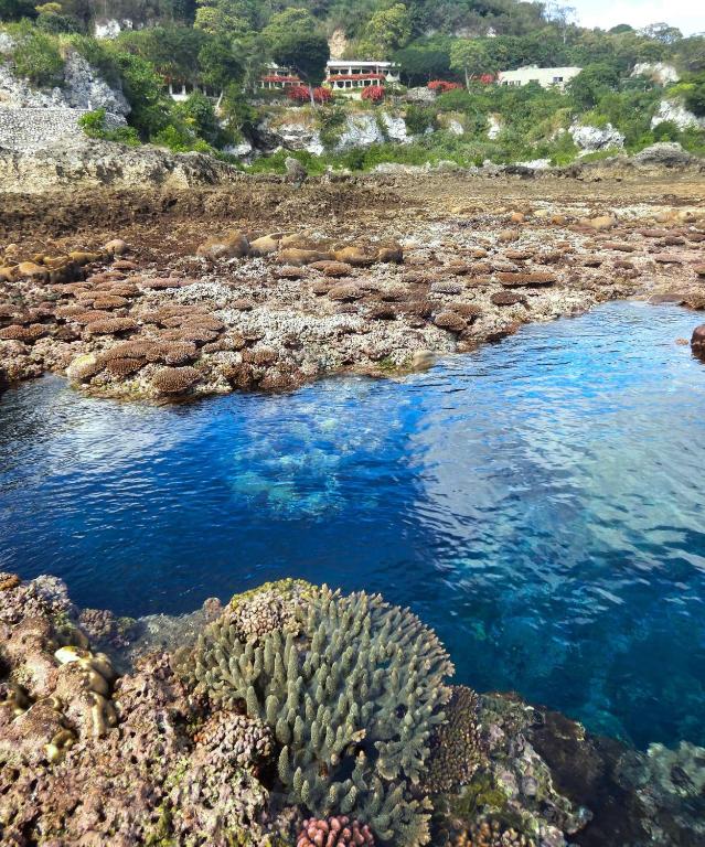 Спорт та розваги