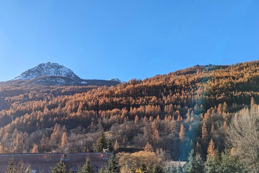 L'Hermine - Duplex à 5mn des pistes avec garage - 5